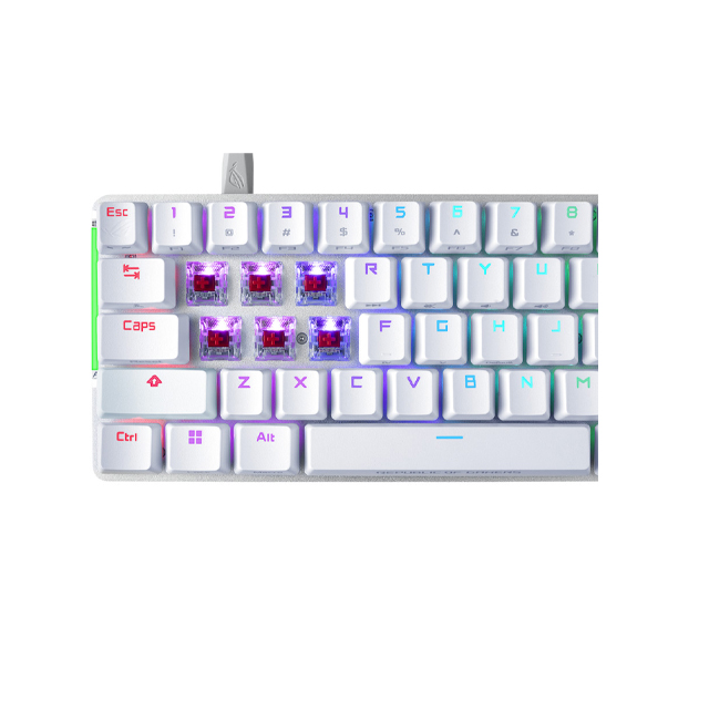 Falchion-Ace-NXRed-7