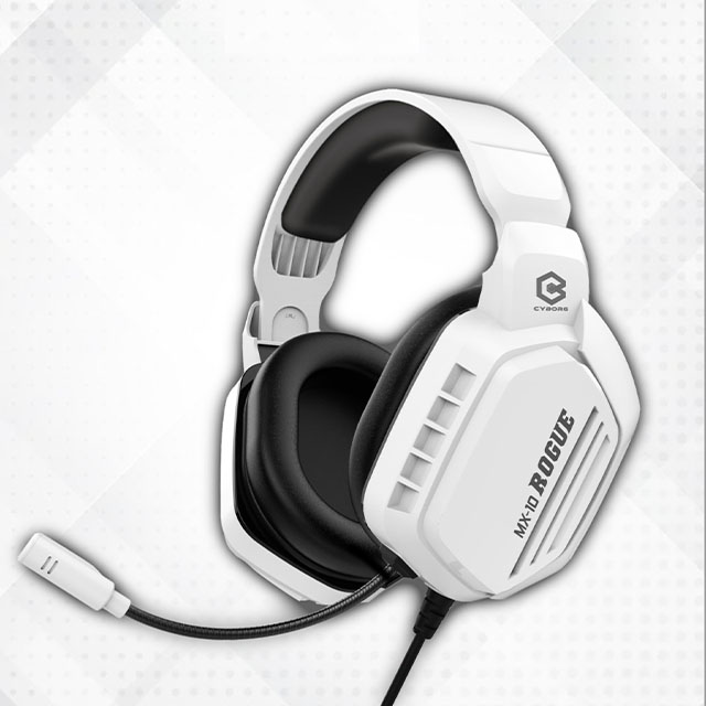 Rogue-MX-10-1