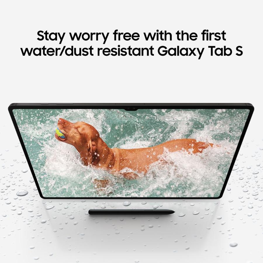 Samsung-Galaxy-Tab-S9-5G-WiFi-4