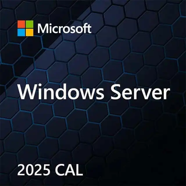 Windows Server CAL 2025 English 1pk DSP OEI 1 Clt Device CAL OEM (EP2-25225)